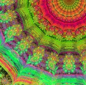 Meet your Posher, Debbie